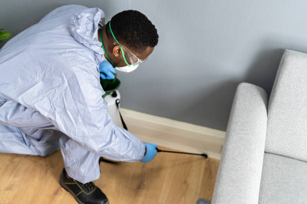 Real Estate Pest Inspections in Crafton, PA